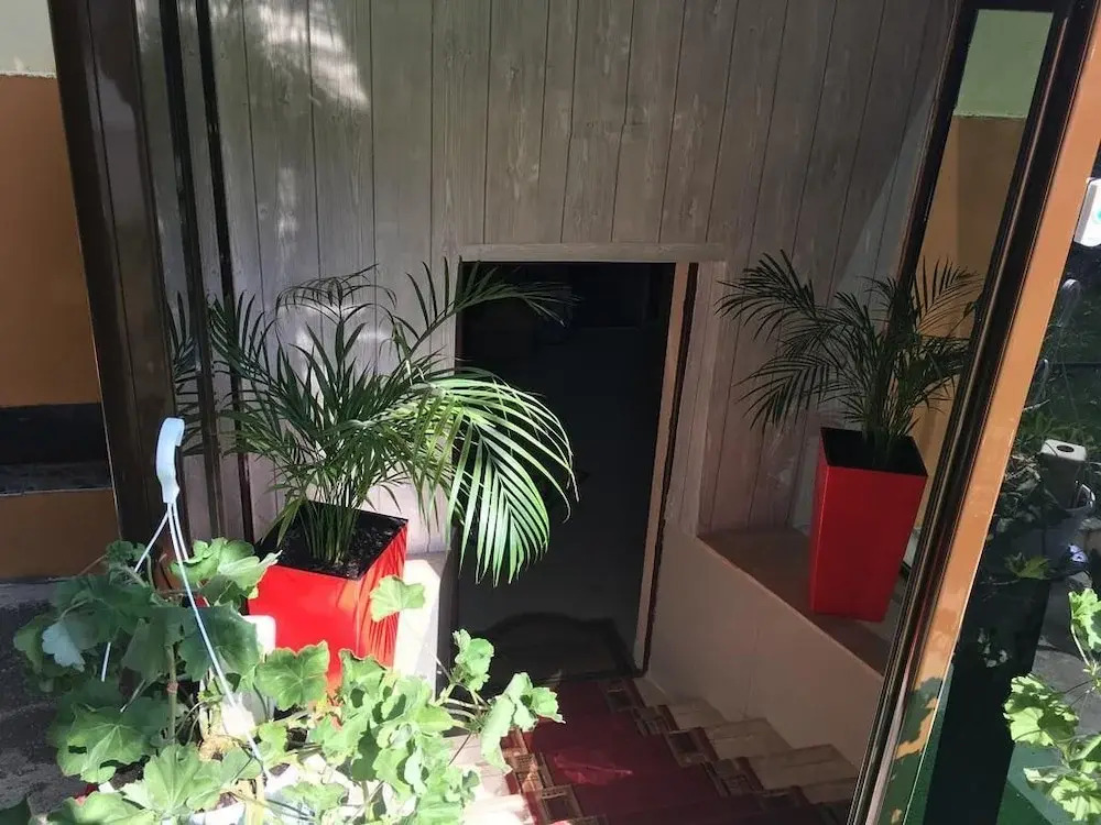 Magic Accommodation