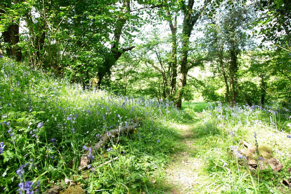 Upper Vobster Farm