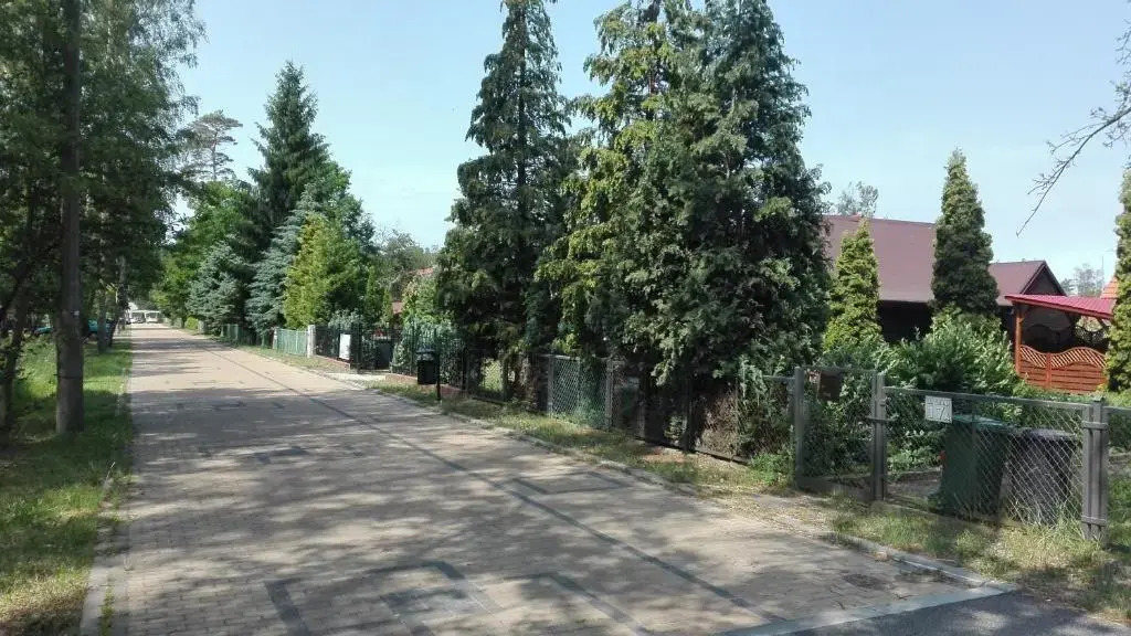 Arkadia Domki