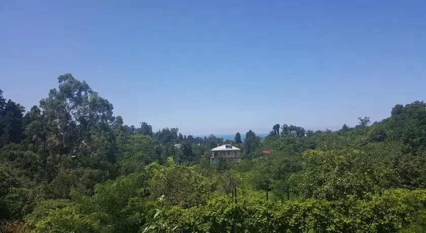 Bambarbia Guesthouse