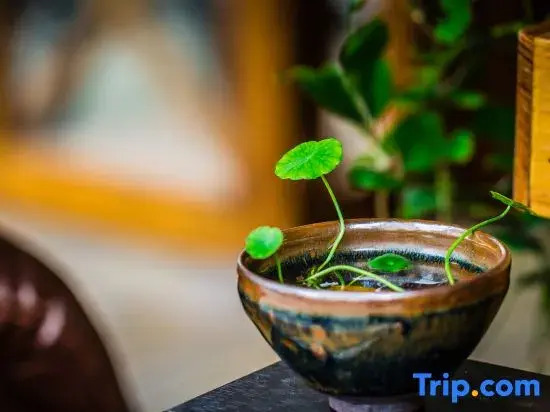 Wuyishan Pengjia Xiaoyuan Homestay