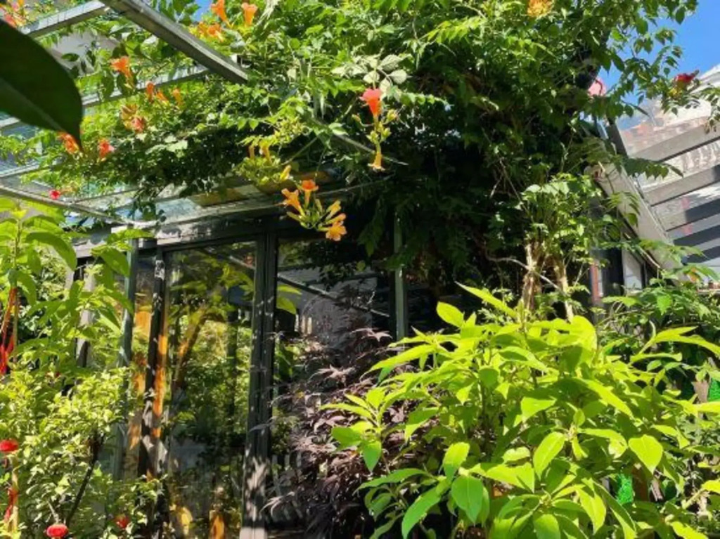 Tongli Defu Caotang Boutique Hostel