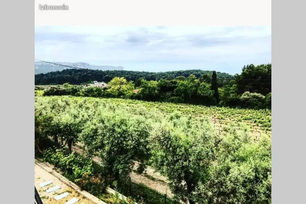 Studio Dans Les Vignes de Cassis