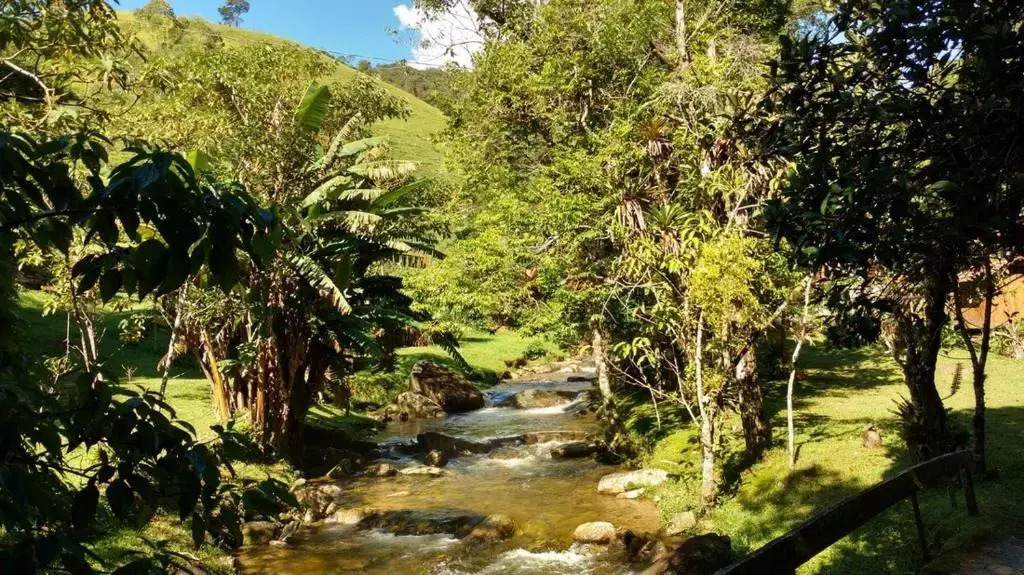 Chalé Truta da Floresta