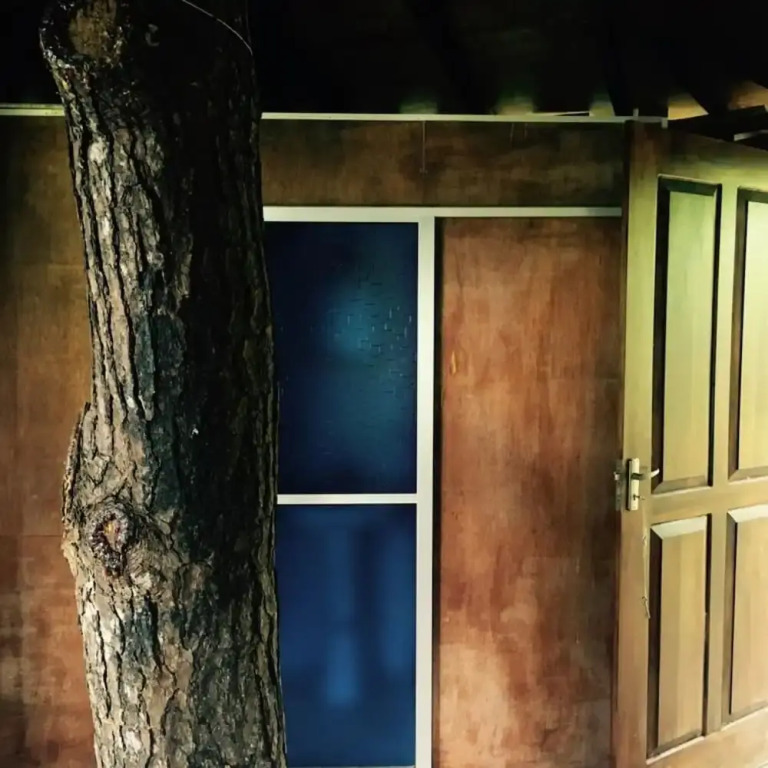 The Tree House