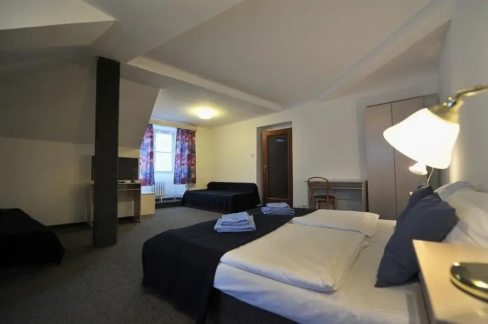 Hotel Gabreta