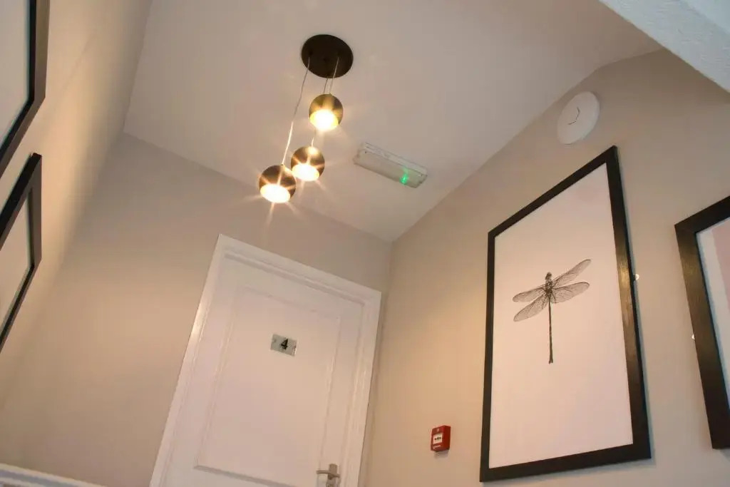 Blackbird Luxury Apartments Room 4