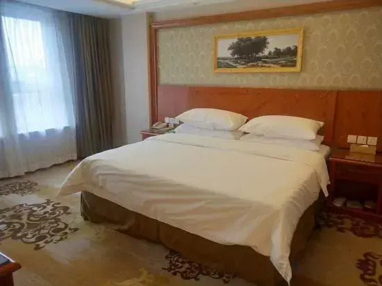Vienna Hotel