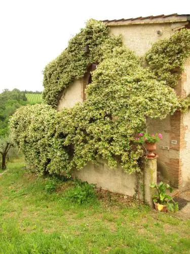 Agriturismo Podere Cappella