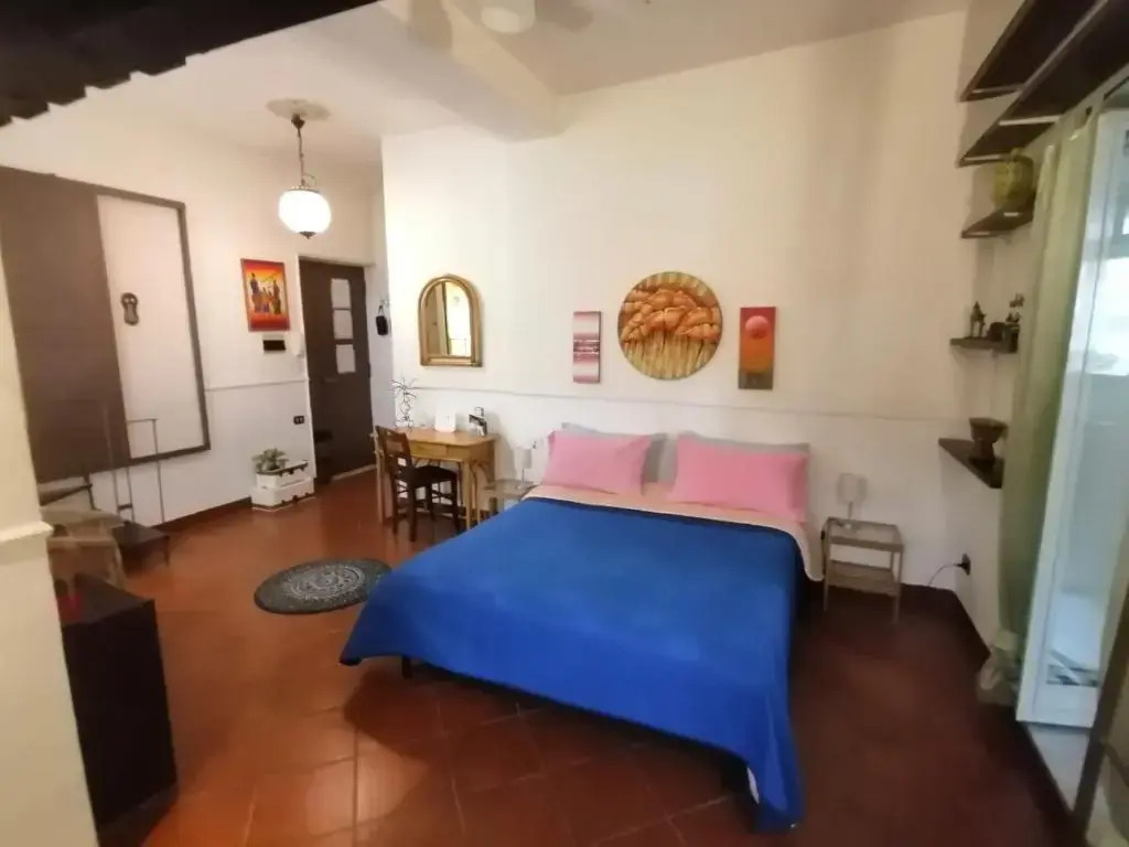 Rooftop Attic
