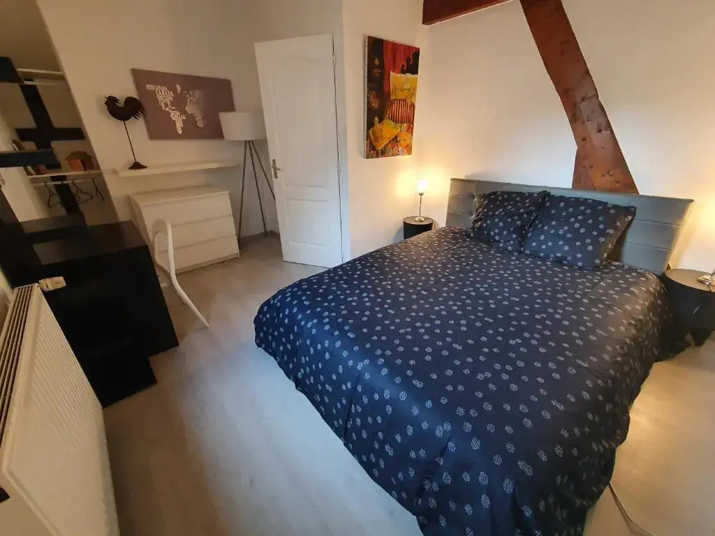 MAISON GÎTE ENTIER EN HYPER HYPER CENTRE AUX COEUR DES HALLES de TOURS de 2 à 7 PERSONNES
