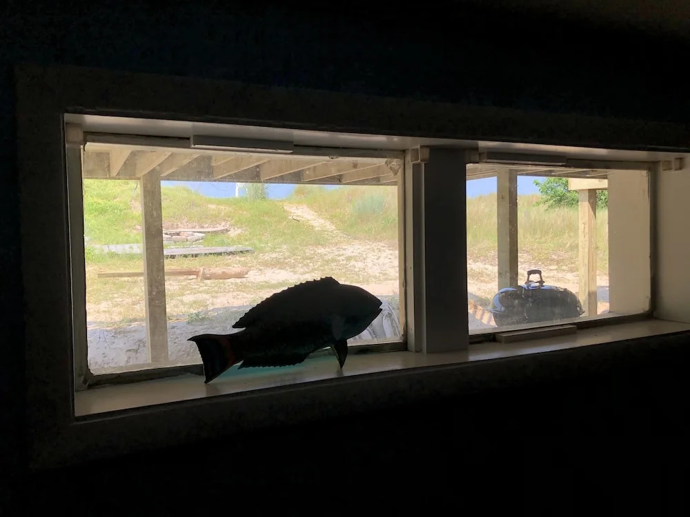 Beach Front On The Bay In Our Rustic, Pet Friendly Cottage 4 Bedroom Cottage by RedAwning