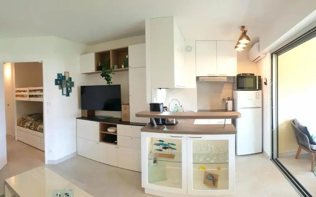 Garden and beach sea view apartment Cannes