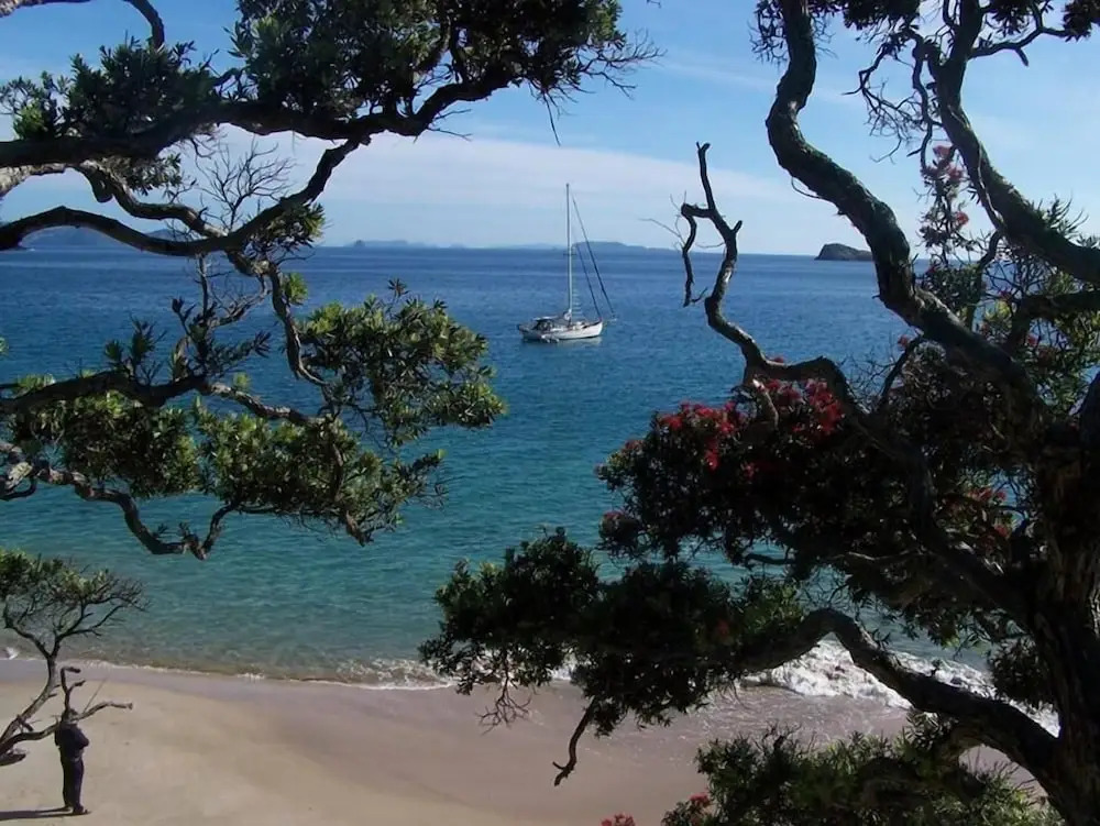Tatahi Cove Back Packer