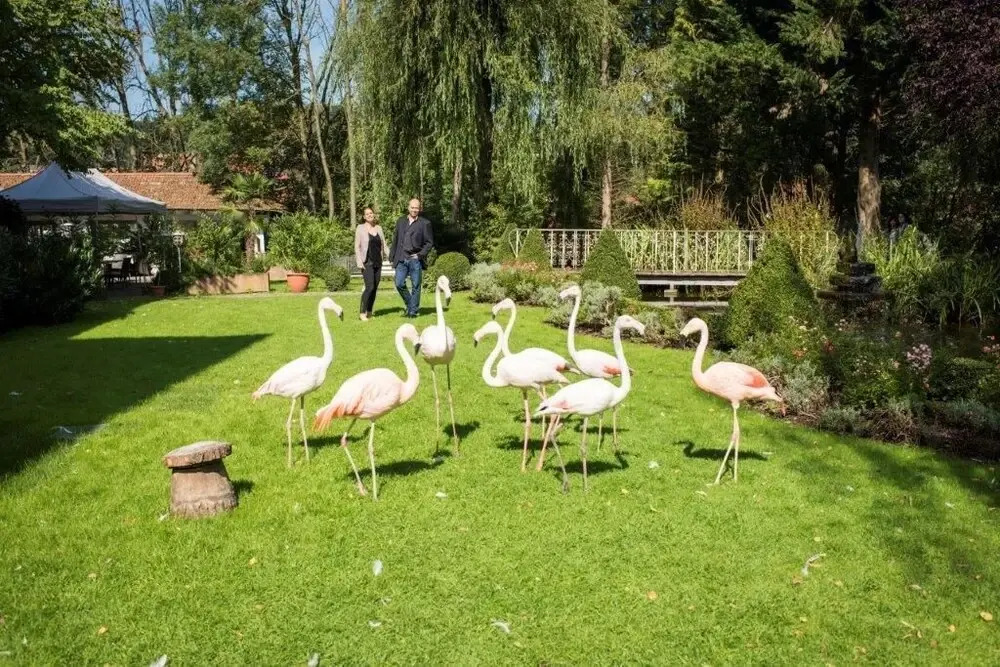 Parkhotel Krone Maleck