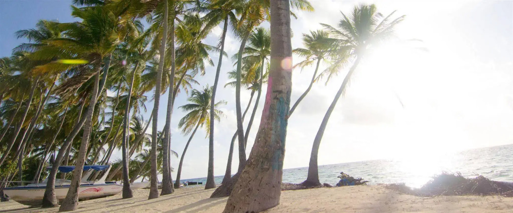 Leisure Boutique Maafushi 维尼家