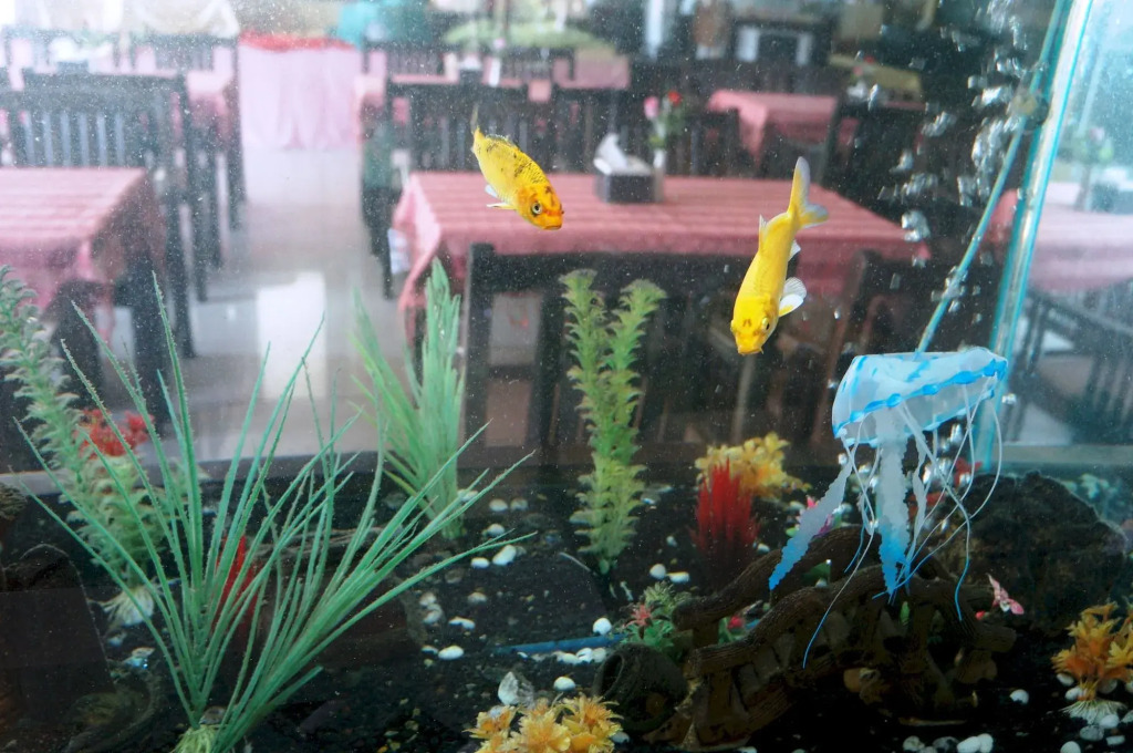 Noble Place Chiangmai