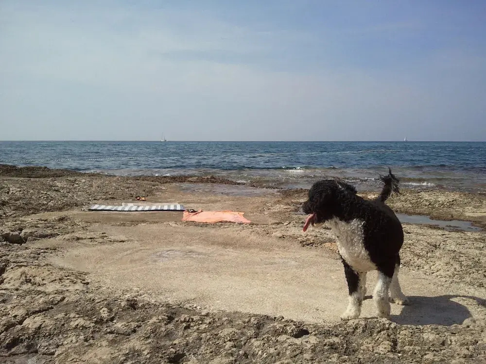Peaceful House Only 900m From the sea With Swimming Pool, Bbq, Wifi, Airco