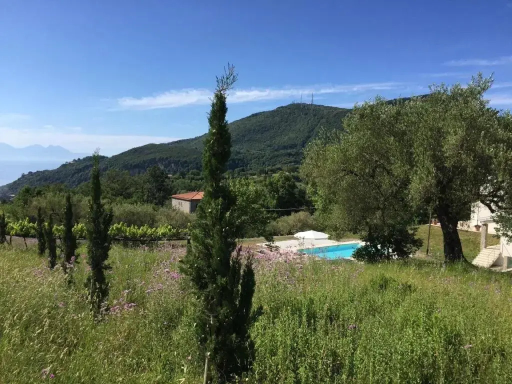 Ferienhaus mit Privatpool für 4 Personen ca 150 m in San Giovanni a Piro-Bosco, Kampanien Cilento