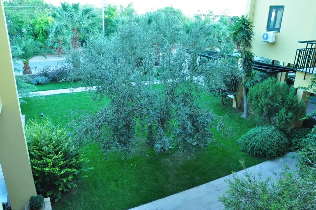 Palm Court Suites