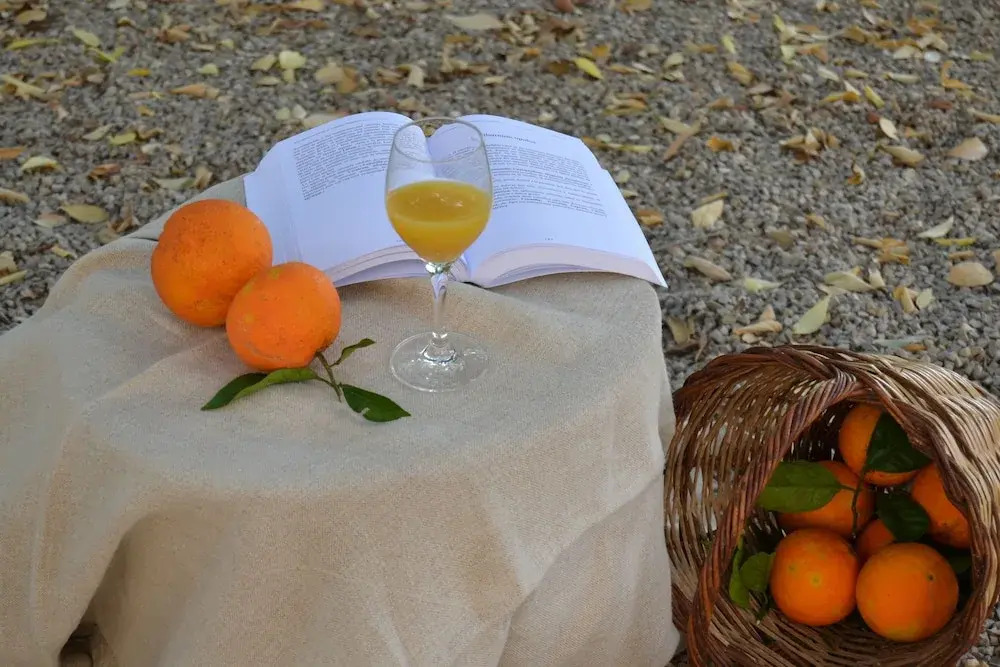 Agroturismo Son Sant Andreu