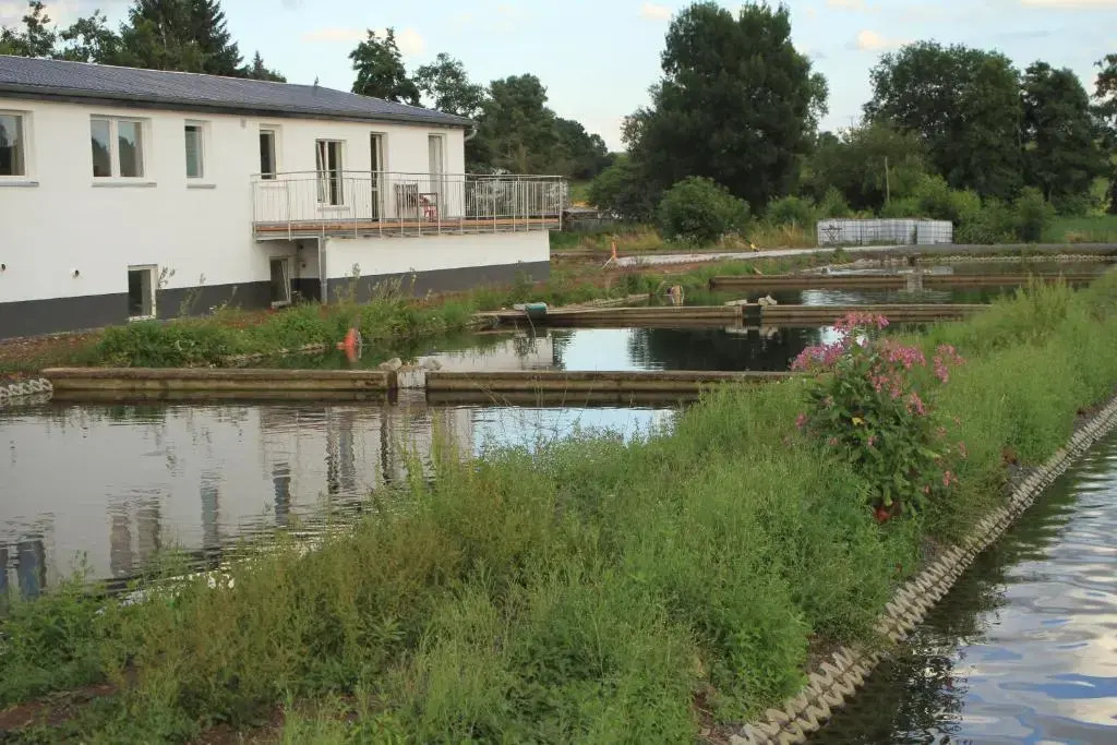 Ruhige Ferienwohnungen mit Teichblick