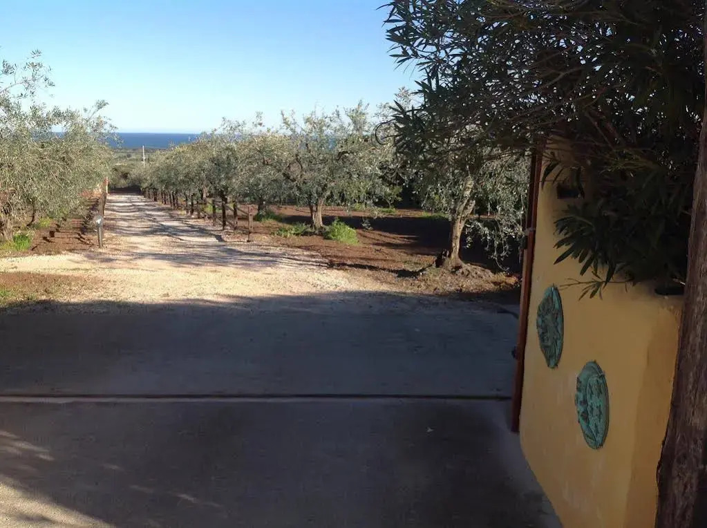Rustico degli Ulivi