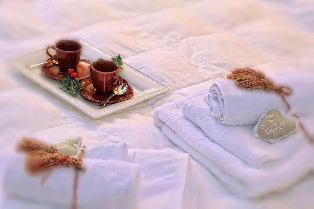 Luxury Apt Dolomites 2