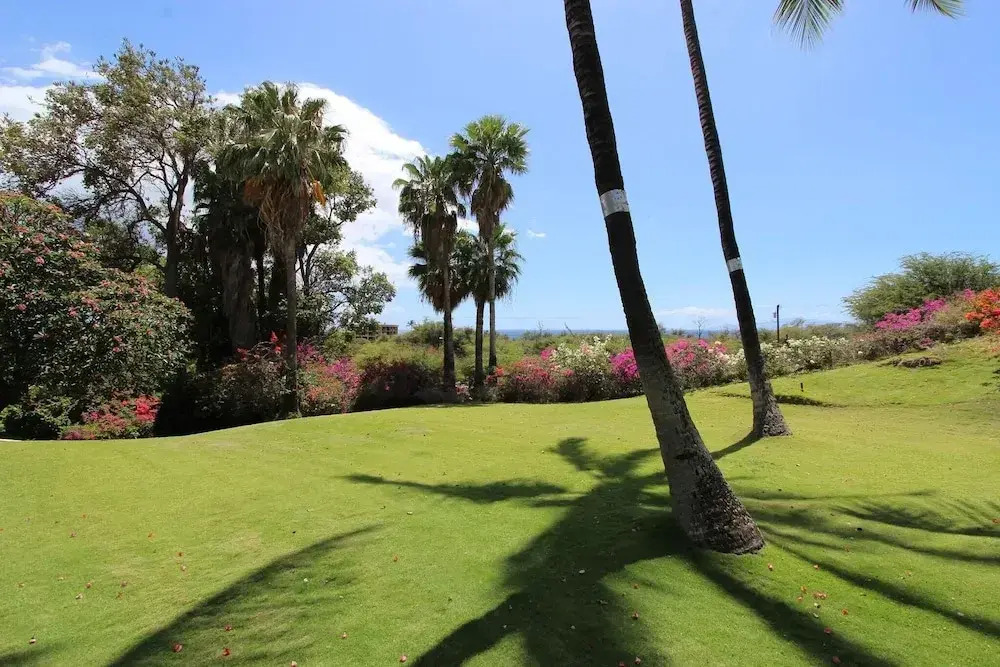 Keawakapu 208