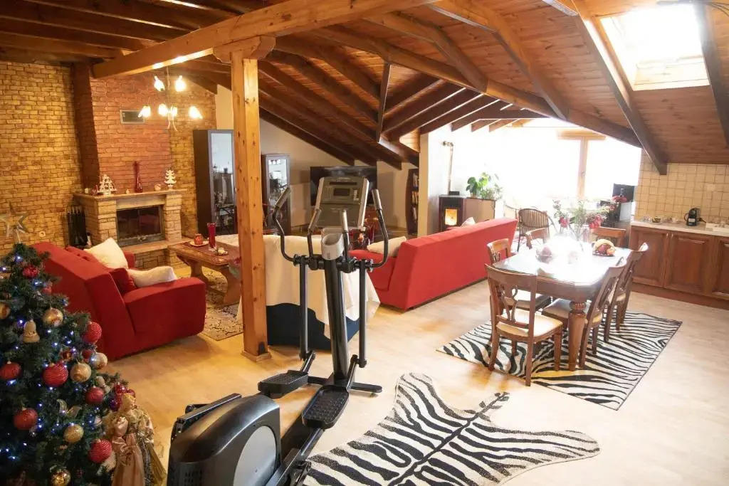 Soffitta House Sofi