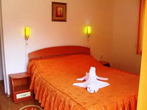 Vila Doina Branului