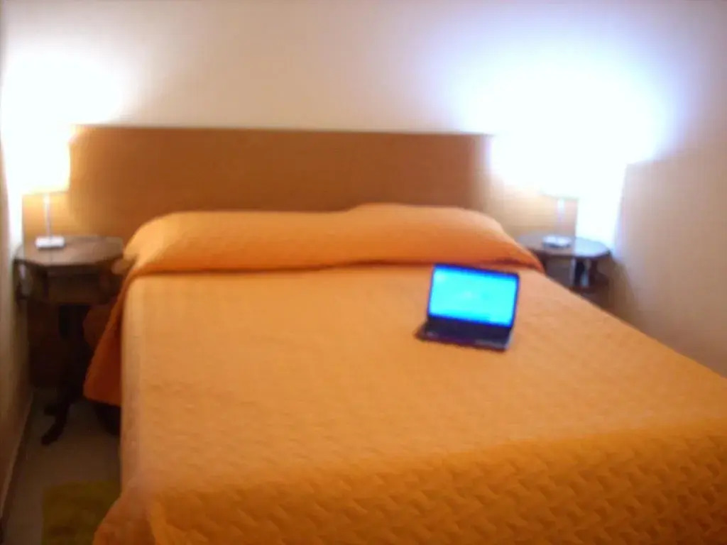 Hotel Gala
