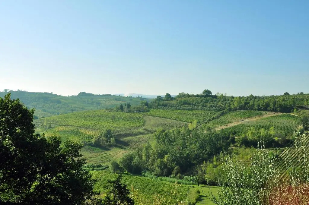 Agriturismo Il Pino - Tuscany Italy - Apartment Cipresso