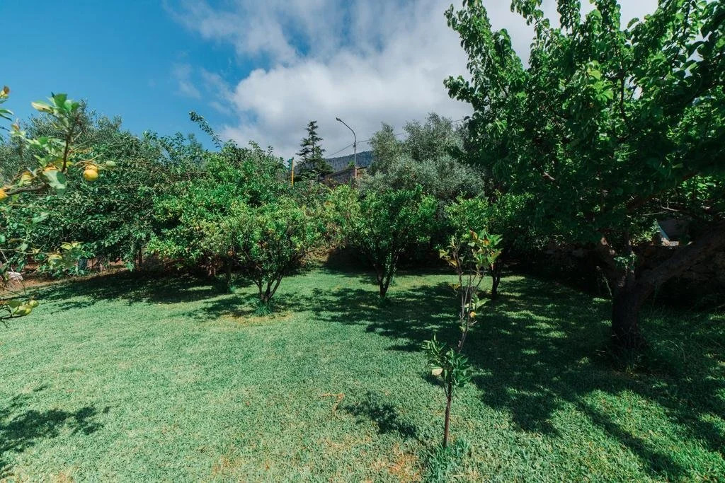 B&B Maratea Garden House