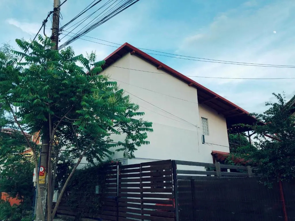 Casa cu Smochin | House with the fig