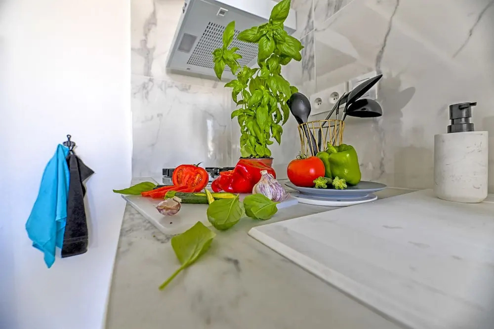 Appartement Romanité
