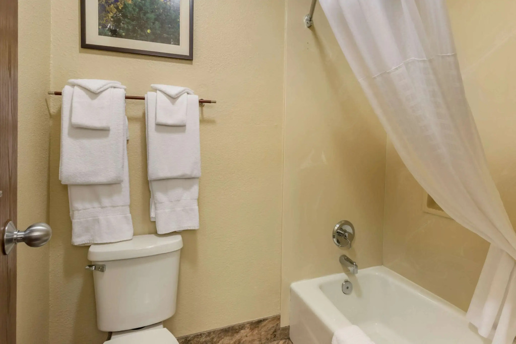Comfort Inn Flagstaff South I-17