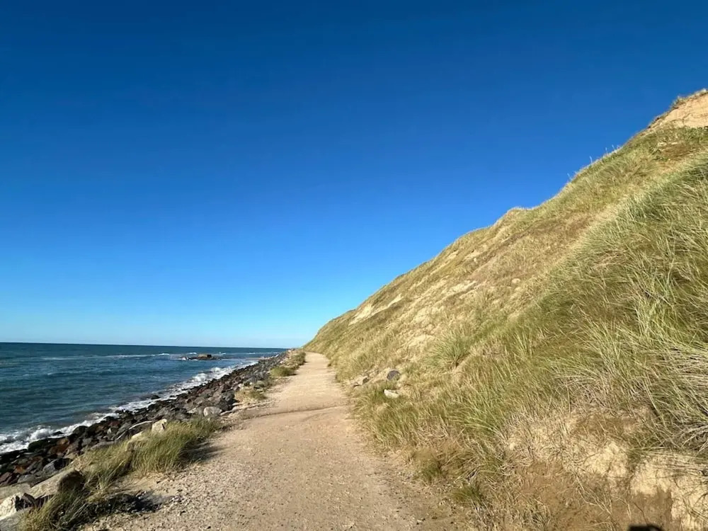 4 Star Holiday Home in Hjorring