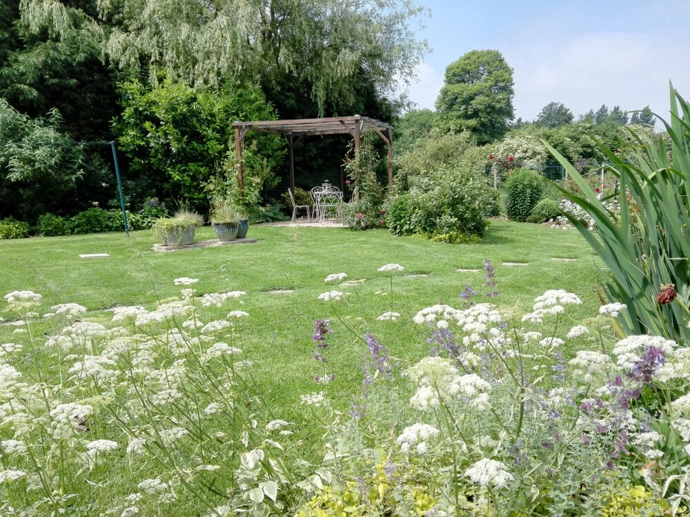 La Mésange Bleue