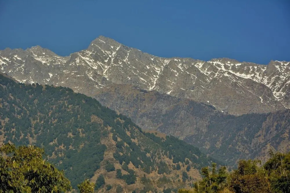 Hotel Shilpi Shavala