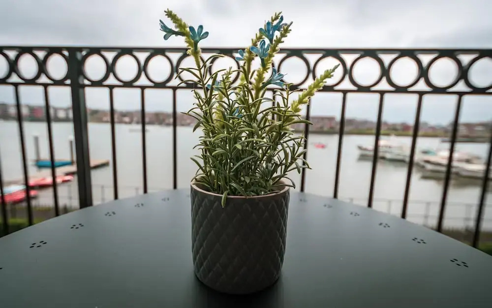 Vespasian Quay - Balcony overlooking the River Itchen - Secure & private parking