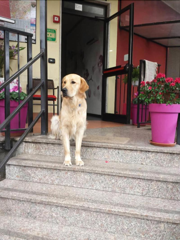Hotel Renato