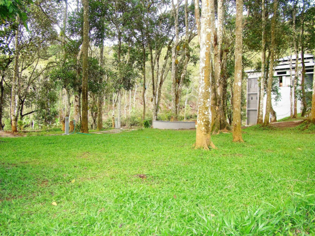 The Mountain Courtyard Thekkady