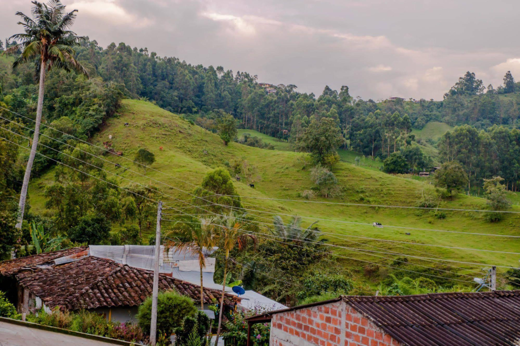 Casa Borbon