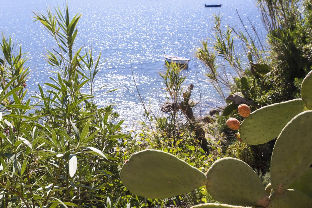 Charming apartment Ostrica seafront with view and private access directly to Forno beach-BILOCALE L'OSTRICA