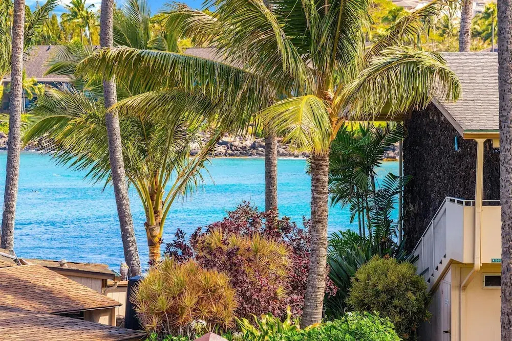 Napili Shores H262 in Lahaina