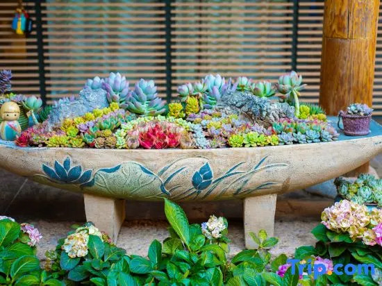 TaiShidi Think House garden