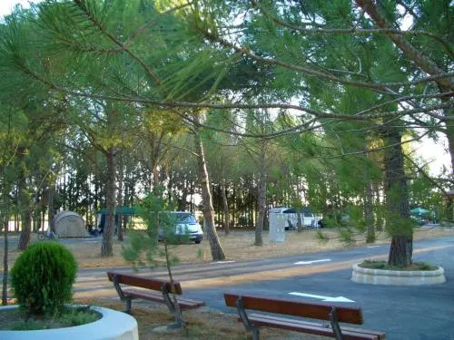 Camping Bolaso