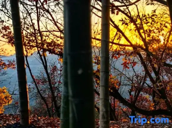 Zhangjiajie Wulingyuan Mukung Yunjing Homestay