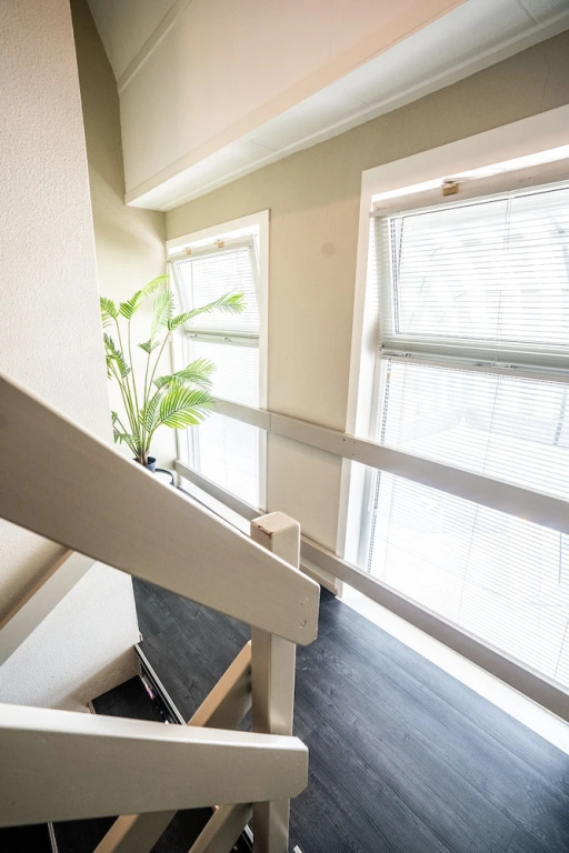 The Jungle Loft